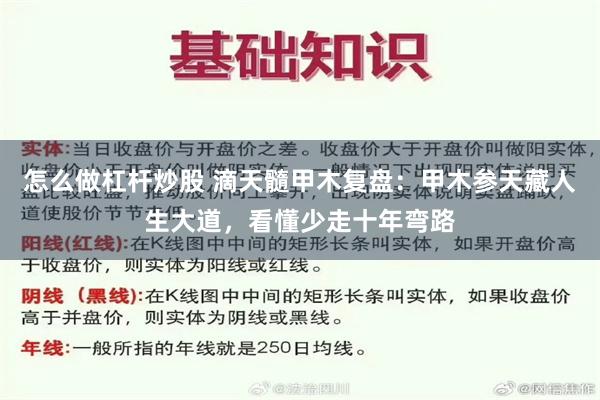 怎么做杠杆炒股 滴天髓甲木复盘:甲木参天藏人生大道,看懂少走十年弯路