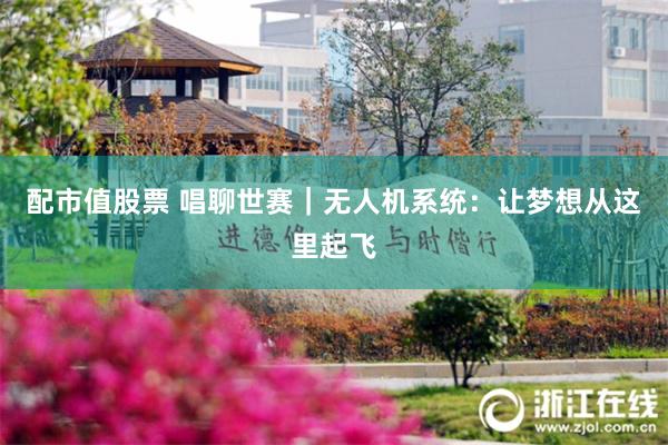 配市值股票 唱聊世赛｜无人机系统：让梦想从这里起飞