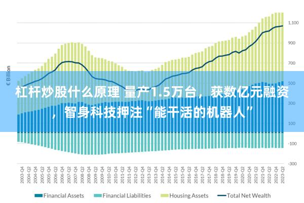 杠杆炒股什么原理 量产1.5万台，获数亿元融资，智身科技押注“能干活的机器人”