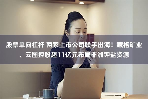 股票单向杠杆 两家上市公司联手出海！藏格矿业、云图控股超11亿元布局非洲钾盐资源