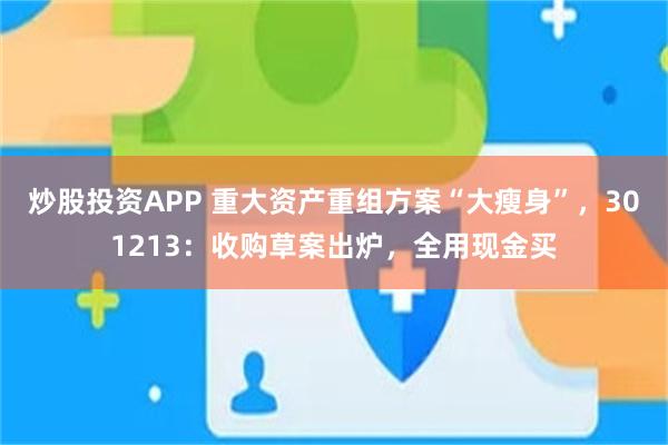 炒股投资APP 重大资产重组方案“大瘦身”，301213：收购草案出炉，全用现金买