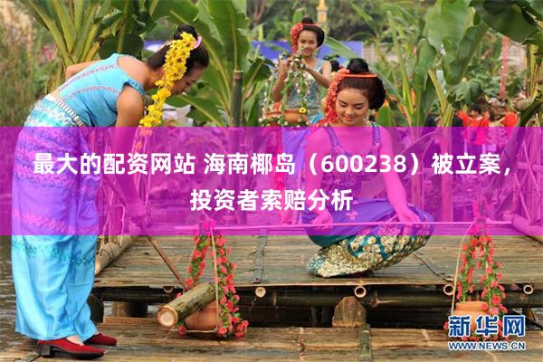 最大的配资网站 海南椰岛（600238）被立案，投资者索赔分析