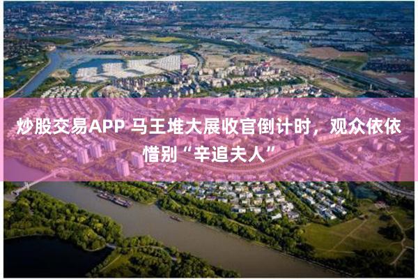 炒股交易APP 马王堆大展收官倒计时,观众依依惜别“辛追夫人”