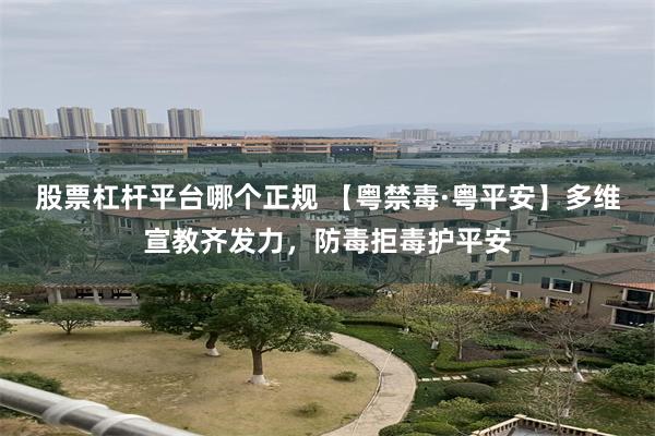 股票杠杆平台哪个正规 【粤禁毒·粤平安】多维宣教齐发力，防毒拒毒护平安